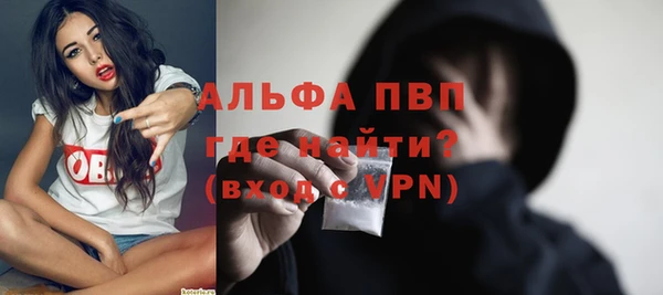 дживик Сатка
